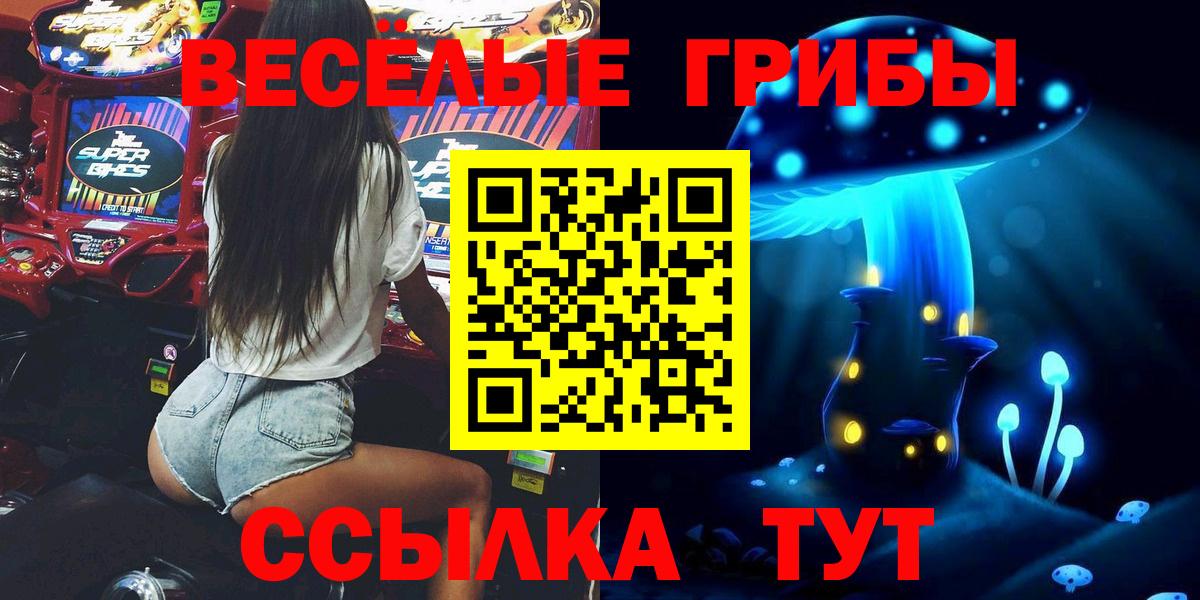 Галлюциногенные грибы Psilocybine cubensis  Вход с VPN  Можга 